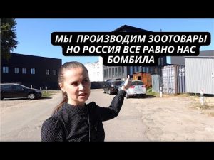 hqdefaul-43