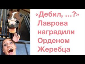 hqdefaul-30